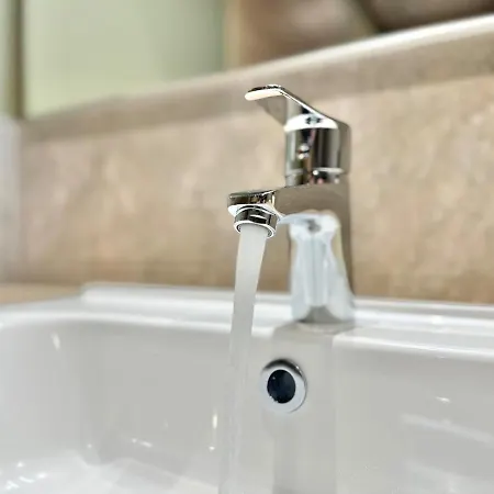 La Roseraie - Hyper Centre - Parking Privatif Apartman *