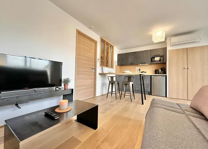 La Roseraie - Hyper Centre - Parking Privatif 몽트드마르장