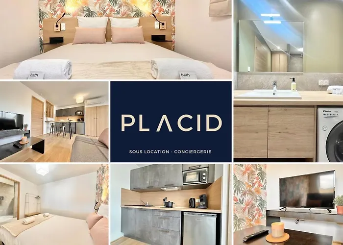 La Roseraie - Hyper Centre - Parking Privatif * 몽트드마르장