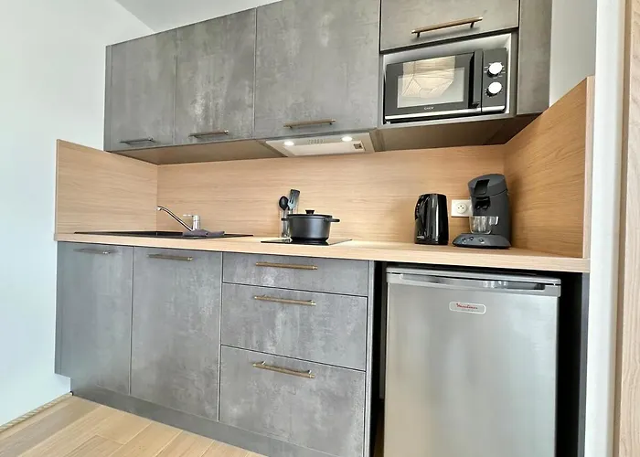 La Roseraie - Hyper Centre - Parking Privatif * 몽트드마르장