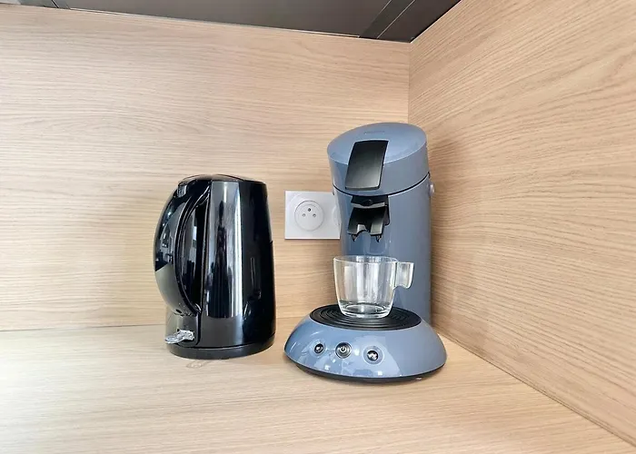 La Roseraie - Hyper Centre - Parking Privatif * 몽트드마르장